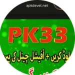 PK33 Game